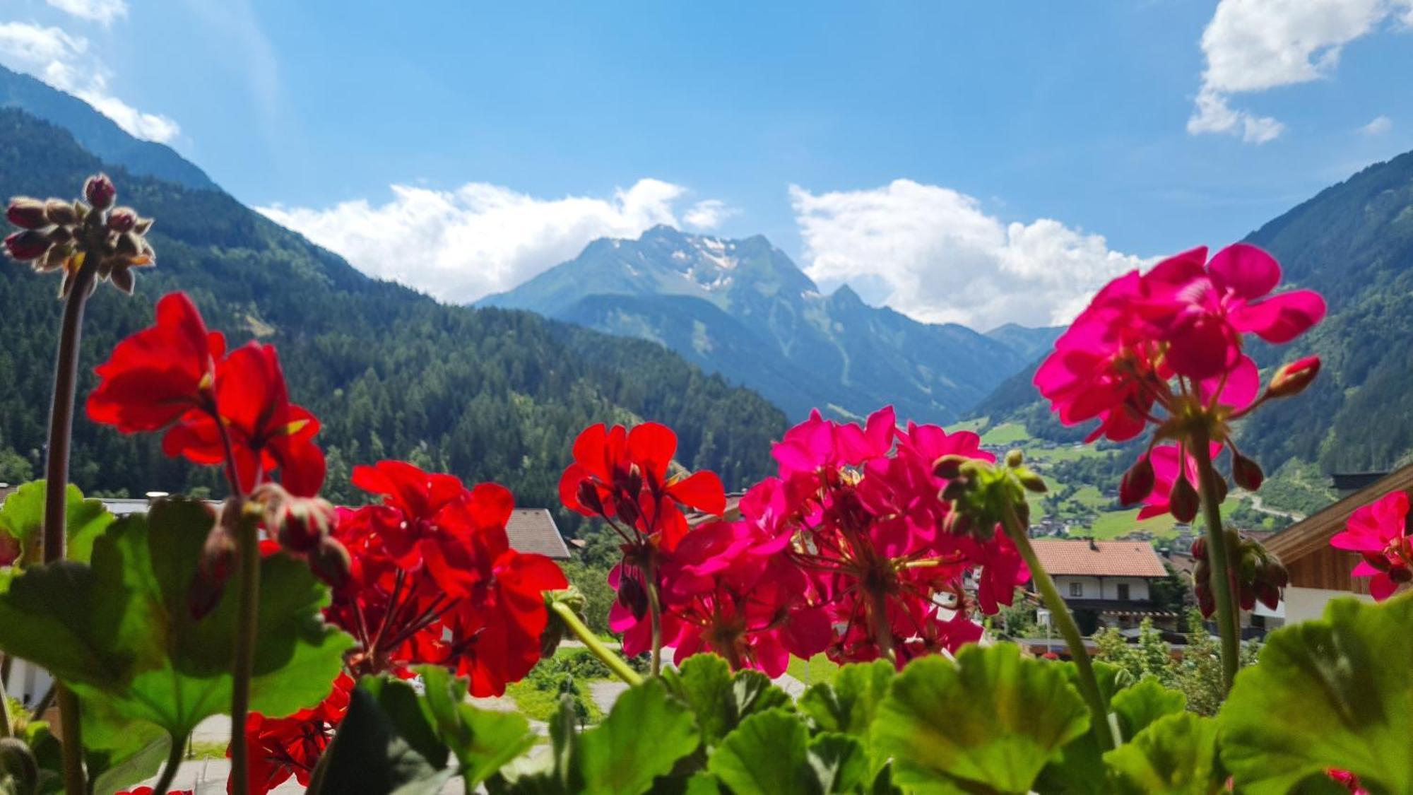 Scheulinghof Ξενοδοχείο Mayrhofen Εξωτερικό φωτογραφία