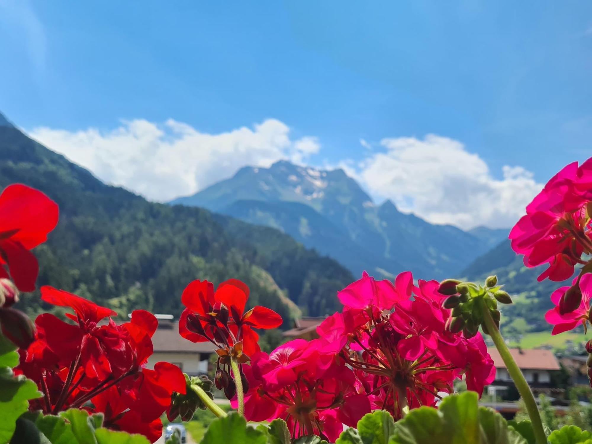 Scheulinghof Ξενοδοχείο Mayrhofen Εξωτερικό φωτογραφία